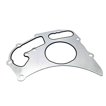 Amazon.com: Haiyazhma Water Pump Gasket 225-8019 2258019